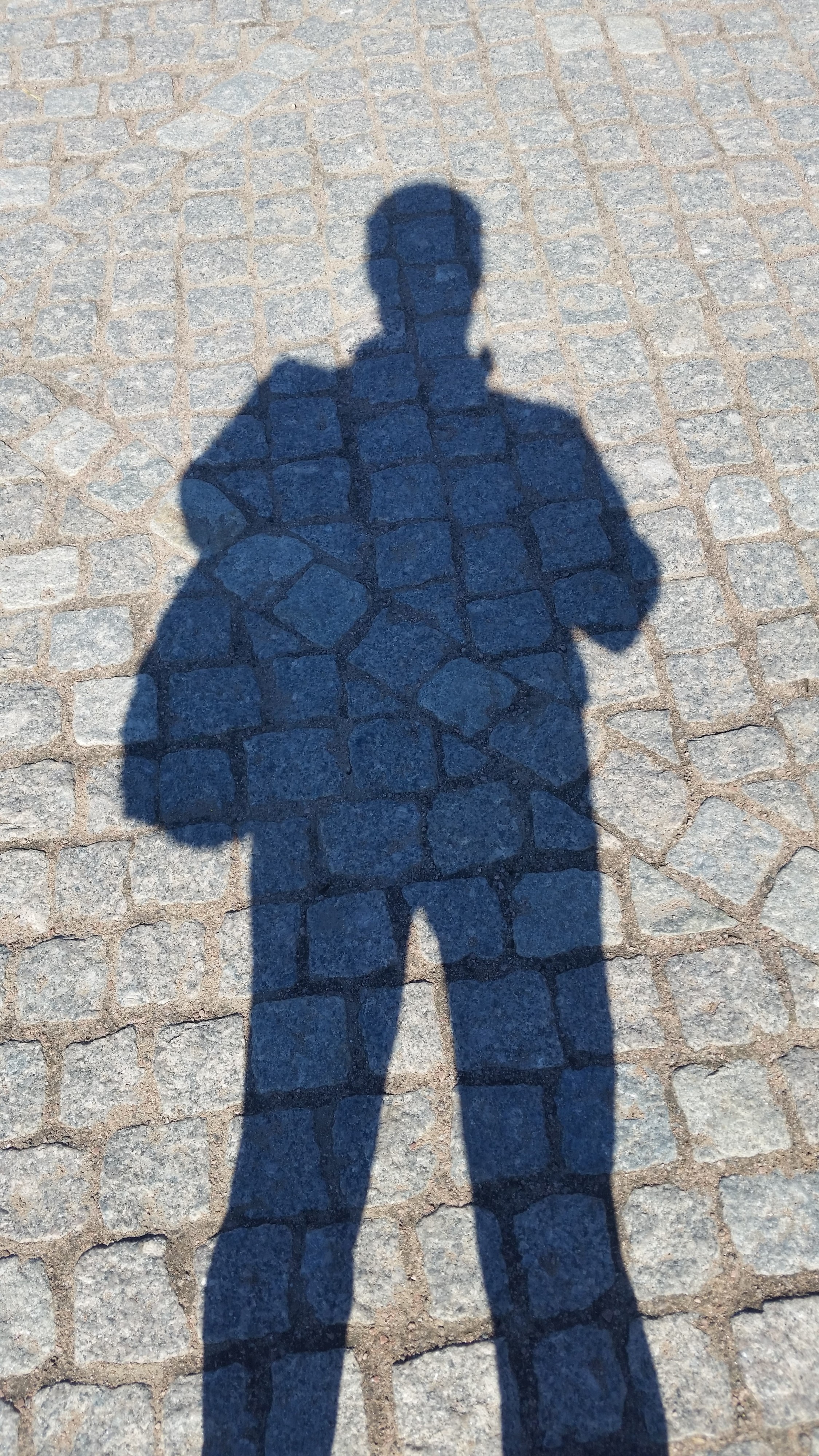 сирёгина тень брусчатокаменноперечоркнутая))))))