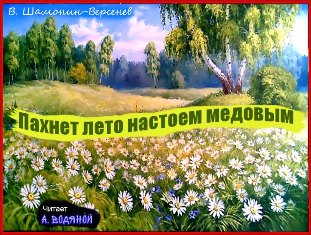 Пахнет лето настоем медовым...