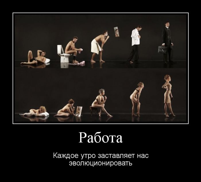 Работа заставляет эволюционировать