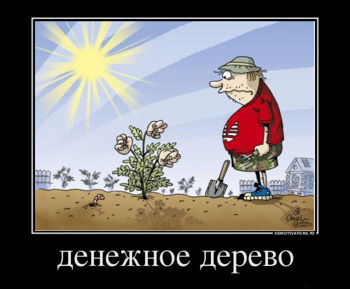 Денежное дерево