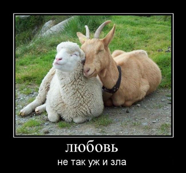 Любовь-не так уж зла