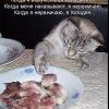 когда я голоден..))