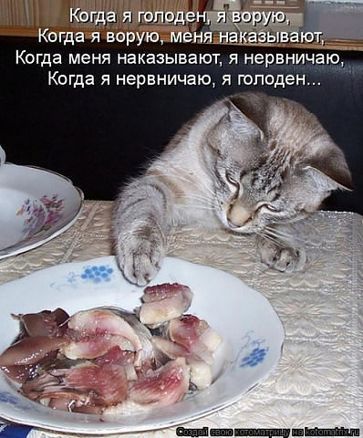 когда я голоден..))