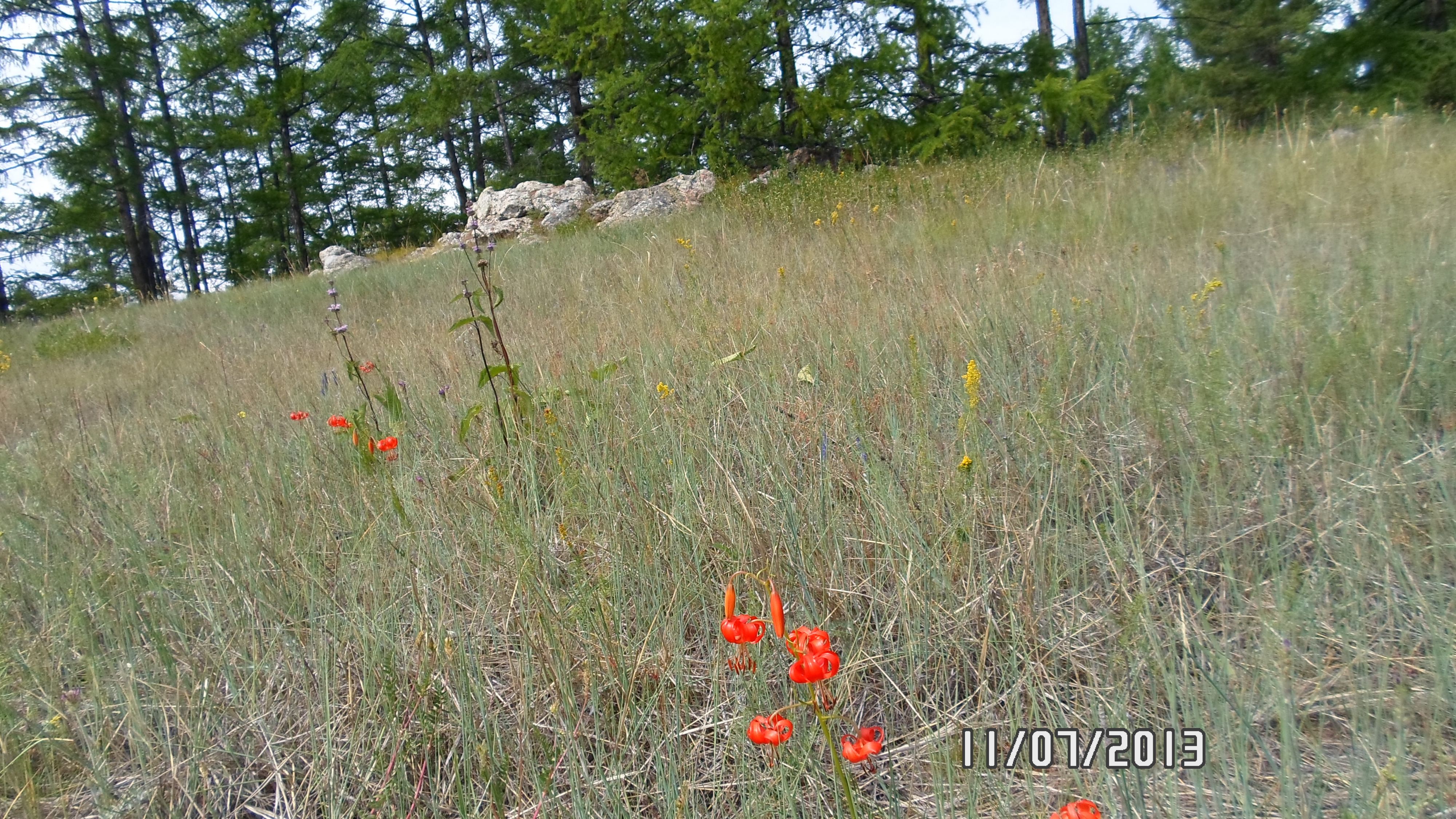 SAM 0512