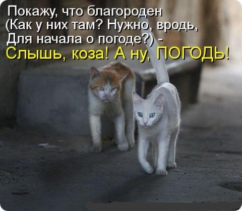 Завязать беседу)))))