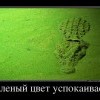 Зеленый цвет