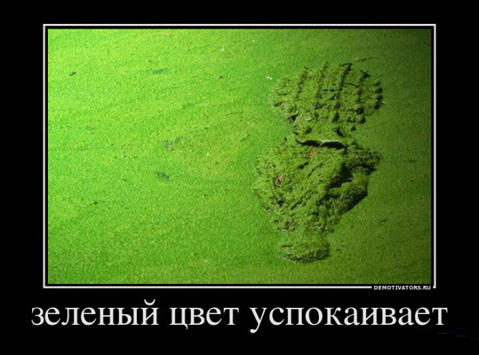 Зеленый цвет