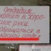 Китайская ирония Китайская ирония