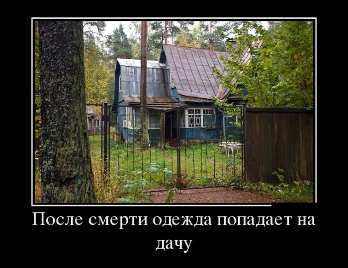 Дачная одежда
