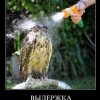 Выдержка