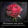 17764251-845727 zhenschinyi-kak-rozyi 17764251-845727 zhenschinyi-kak-rozyi