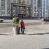 Политическое Политическое