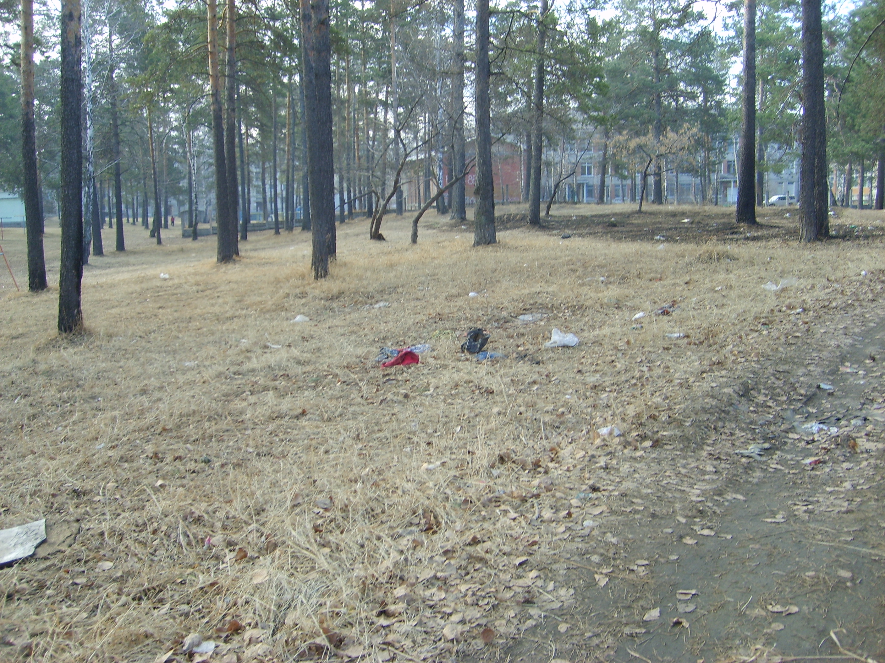 Самый чистый и красивый город-Ангарск!