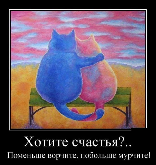 Побольше мурчите