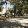 IMG 4491 IMG 4491