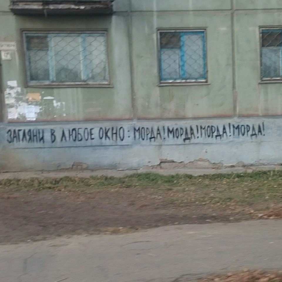 Гиганцкая морда в бухаресте