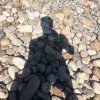 Сирёгина каменнодревесная тень))))))