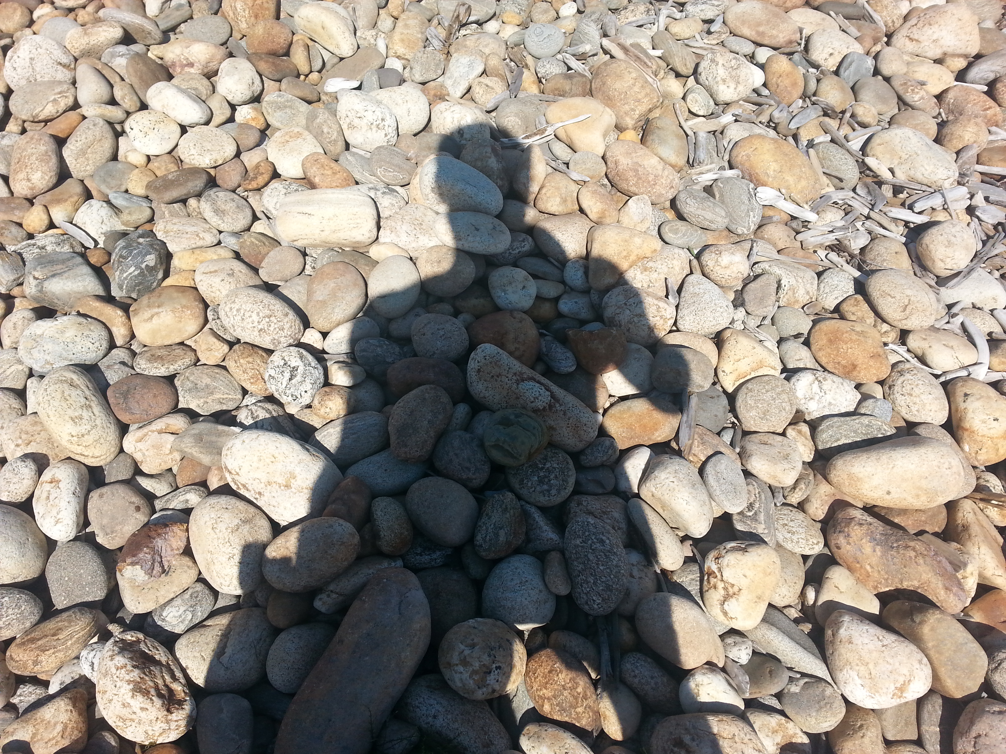 Сирёгина каменнодревесная тень))))))