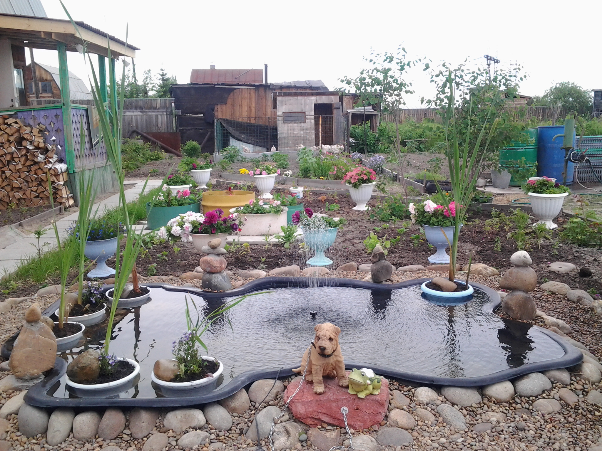 Лето 2013 Пруд