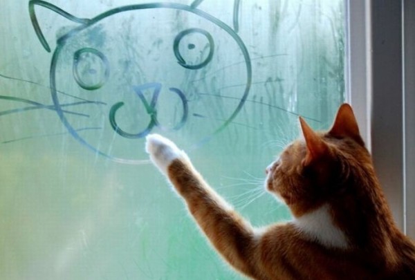 Настроение))))))