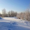 Еловка))))