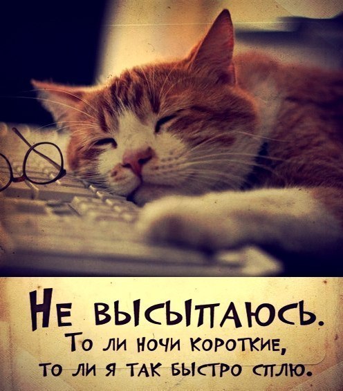 Не высыпаюсь