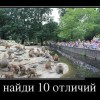 Найди отличия
