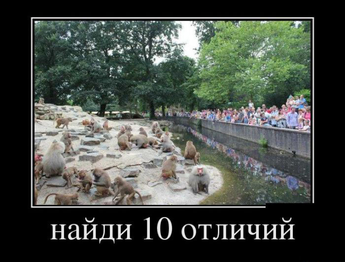 Найди отличия