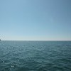 IMG 4119