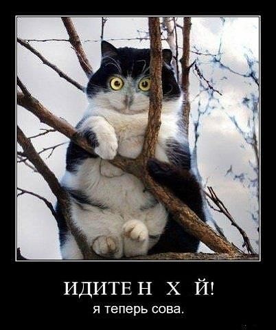 скажите мне кто я? и я  скажу кто ты?