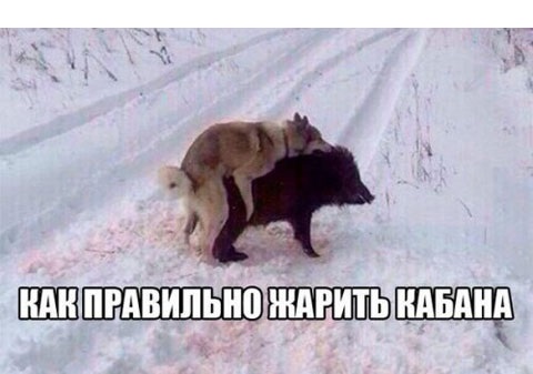 дело к весне..