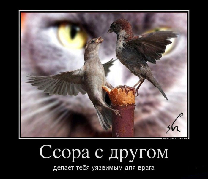 Ссора с другом