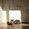 IMG 7871 IMG 7871