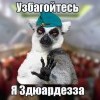 узбагойтезь, здезь здюардезза))) узбагойтезь, здезь здюардезза)))