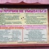 Без названия