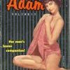 Очередная абнажонка 50-80х Очередная абнажонка 50-80х