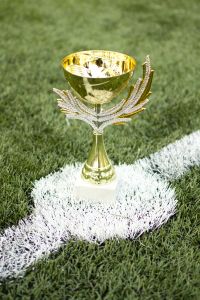 15 Кубок болельщиц