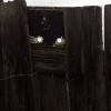 Я заметила что за мной следят, что делать? Я заметила что за мной следят, что делать?