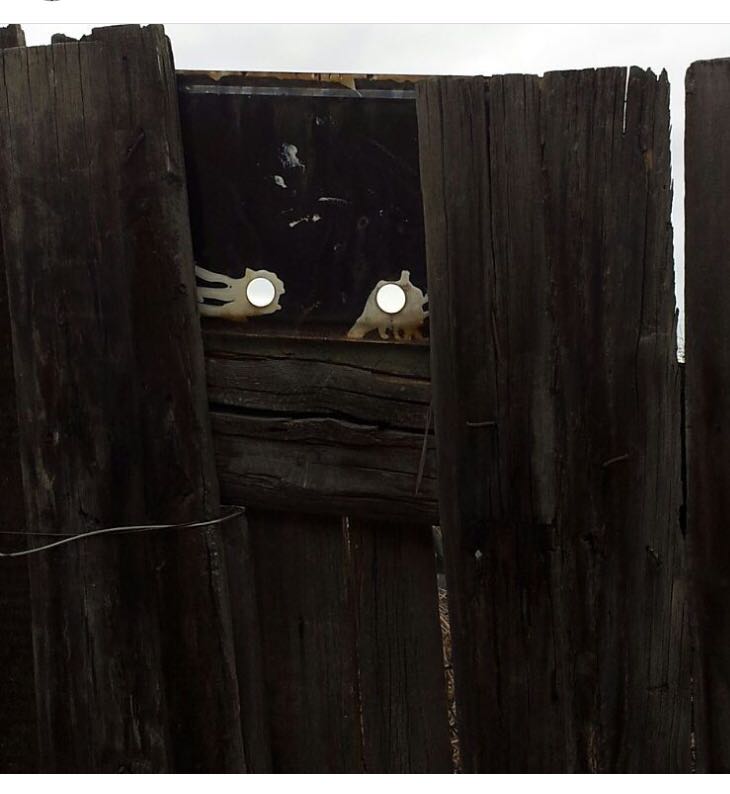 Я заметила что за мной следят, что делать?