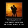 Дружба Дружба