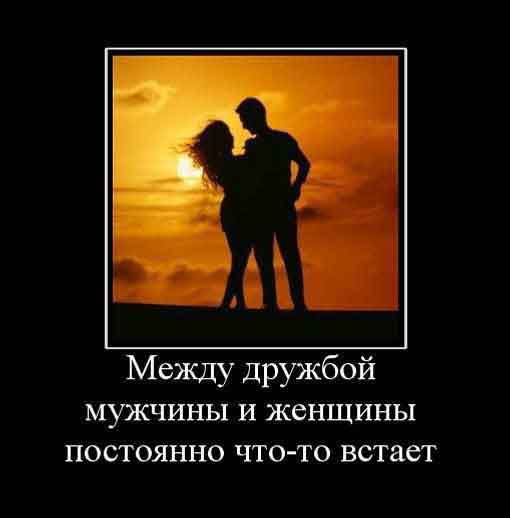 Дружба