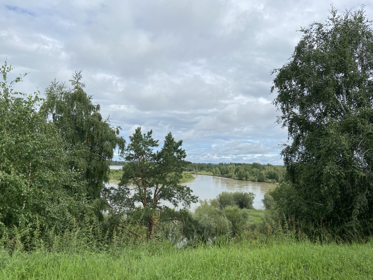 Мутные воды реки…