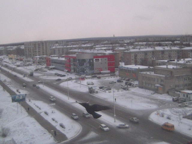 2009-11-06 10:32 "Голуби летят над нашей крышей"