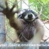 Похмелье Похмелье