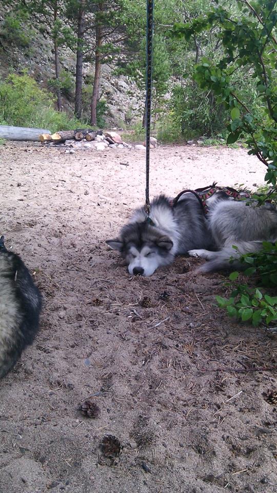 четкий расчет длины поводка