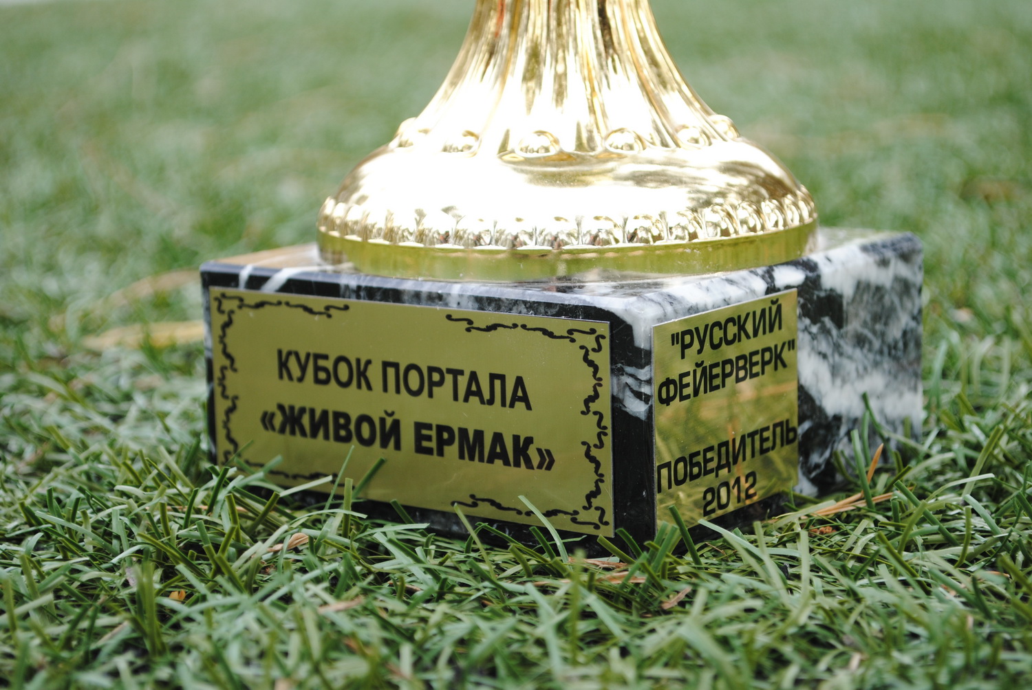 Кубок портала Живой Ермак