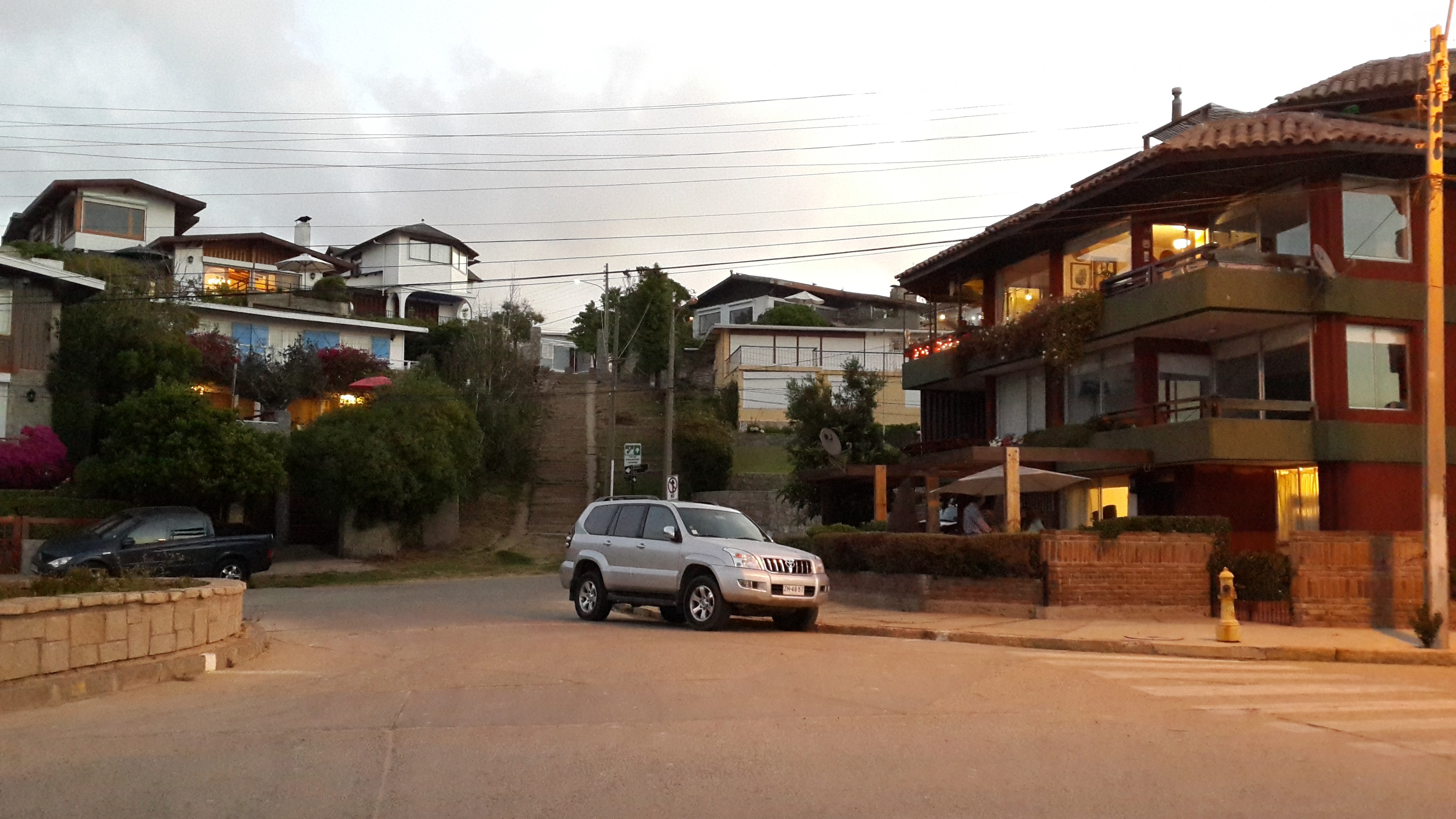 Альгарробо - тихоокеанский Аршан