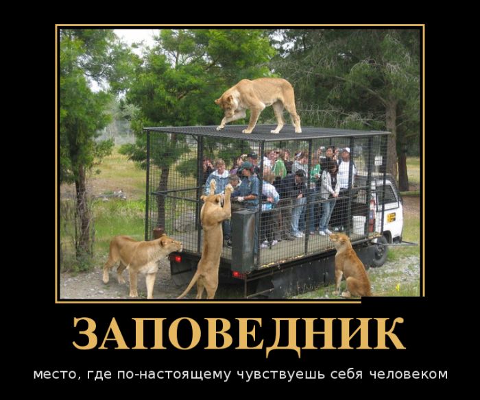 Заповедник