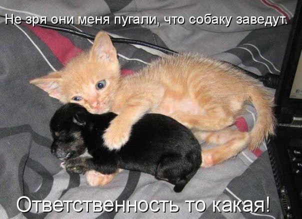 )))