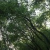 IMG 1978 IMG 1978